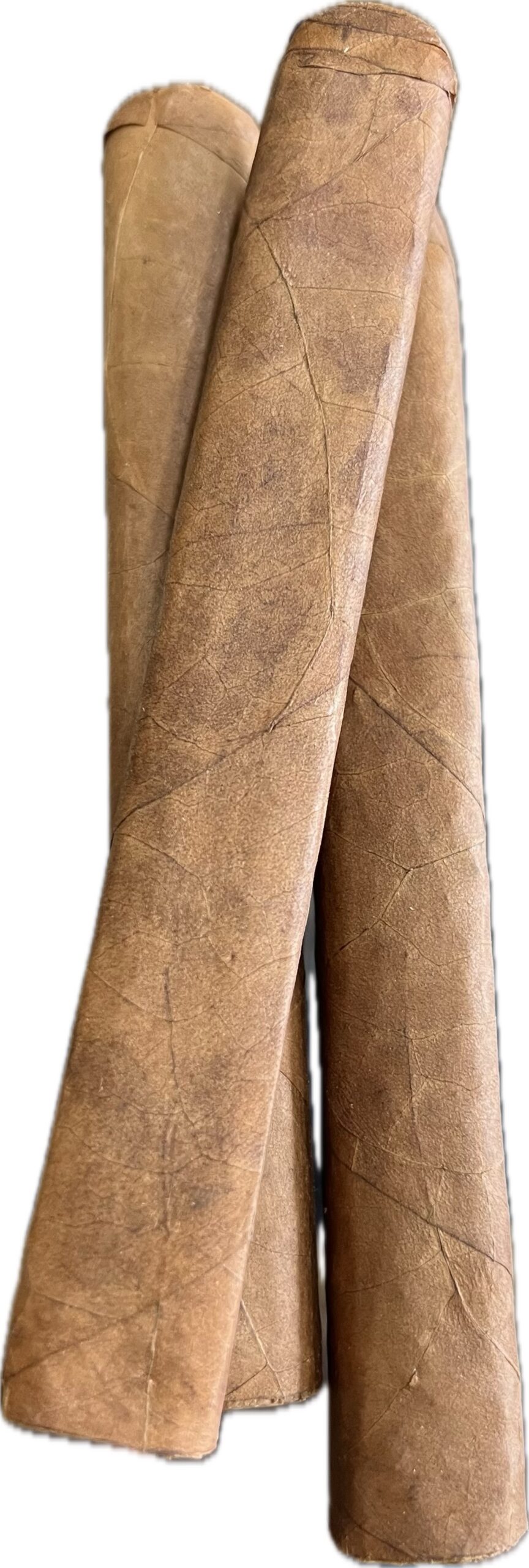 Boxpressed Habano Bundle of (25)