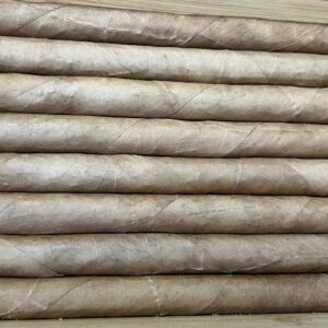 Lancero Connecticut Bundle of (25)