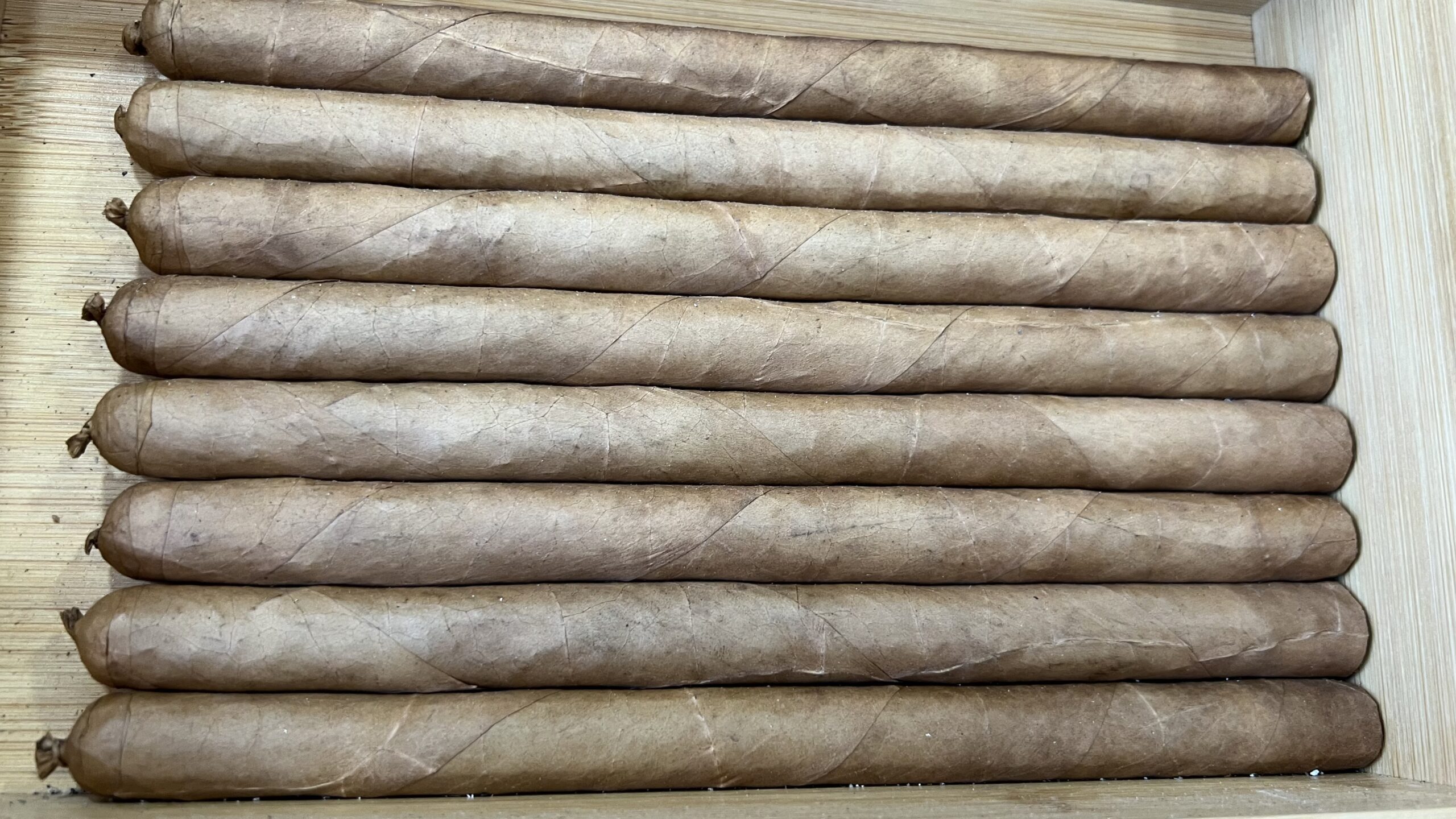 Lancero Connecticut Bundle of (25)